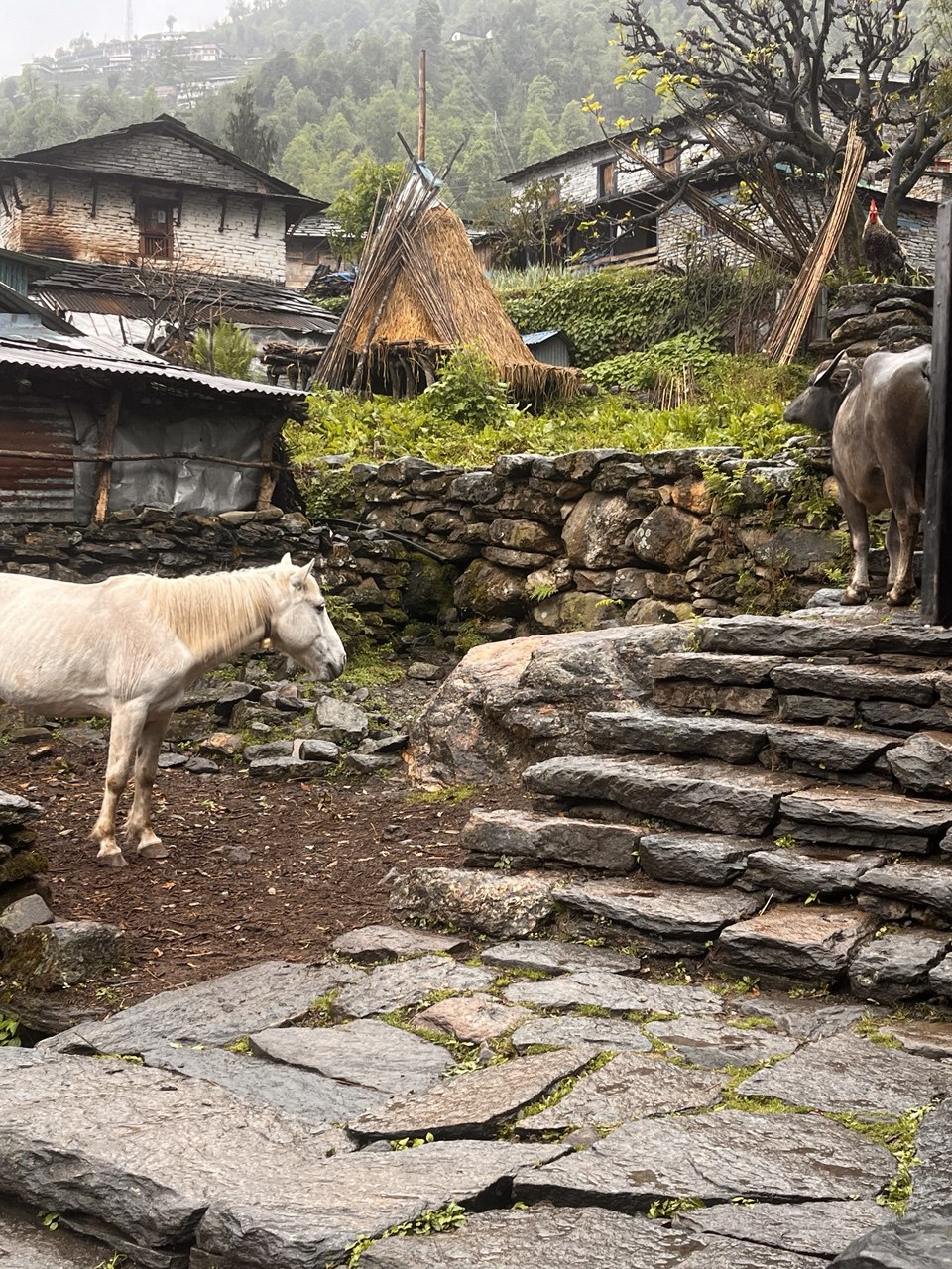 Ghandruk Village
