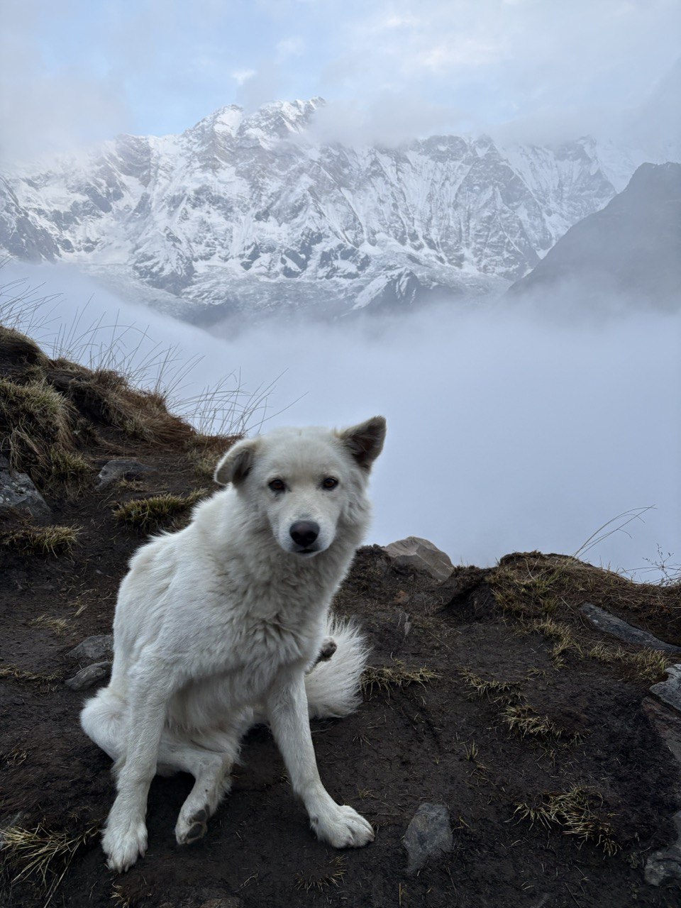 Annapurna Base Camp